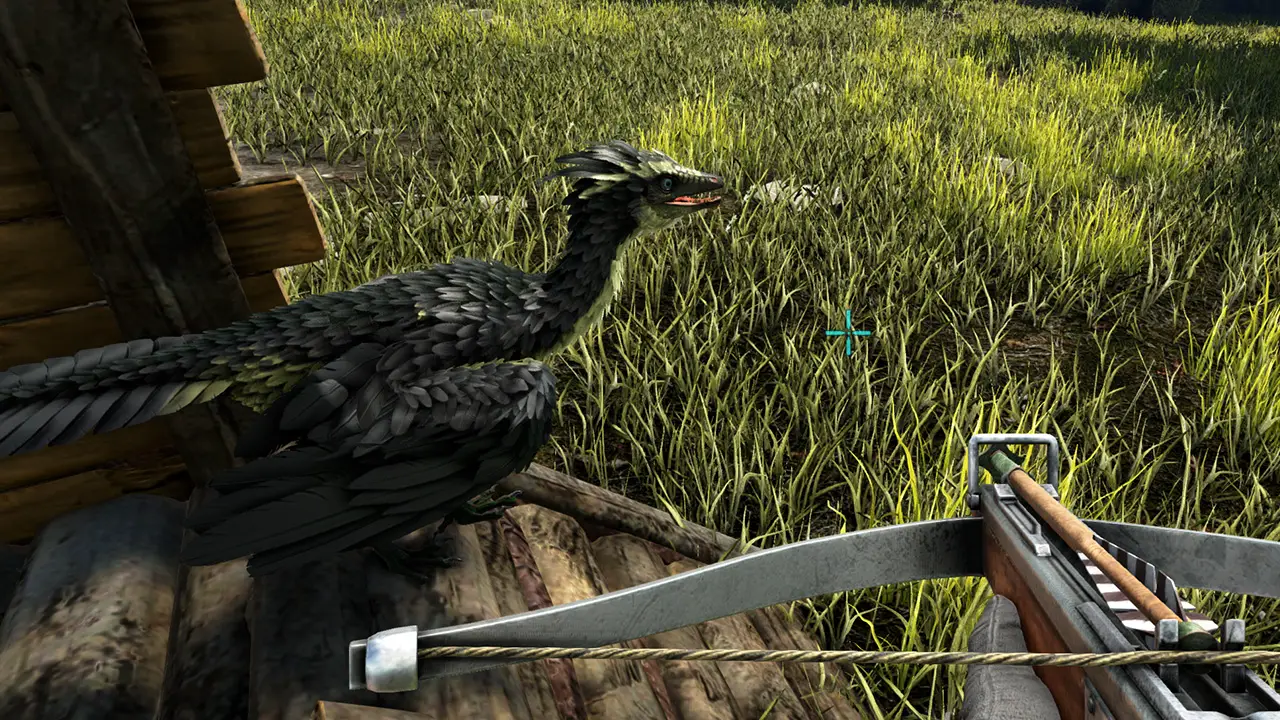 How to Tame Archaeopteryx in Ark Survival Evolved